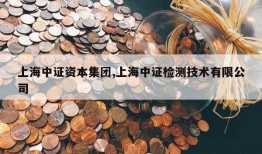 上海中证资本集团,上海中证检测技术有限公司