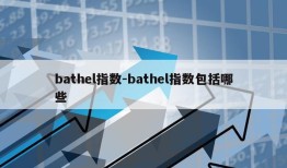 bathel指数-bathel指数包括哪些